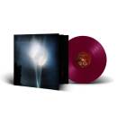 Best Of Pink Floyd (Diverse Interpreten / Redux)