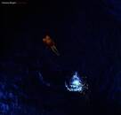 Wright Richard - Wet Dream (2023 Remix)