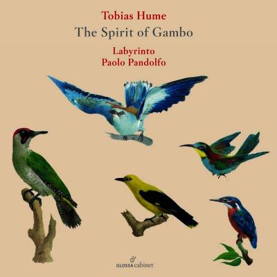 Hume Tobias - The Spirit of Gambo (Labyrinto / Pandolfo Paolo)