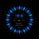 Fletcher Darrow - Hope For Love/No Limit (7inch)