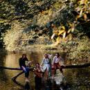 McCartney Paul - Wild Life (Ltd. 50th Anniversary LP)