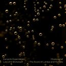 Lumbye / Lanner / Strauss I. - Champagne! The Sound Of...