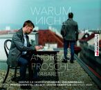 Andreas Fröschl (Gesang Piano) - Warum Nicht)