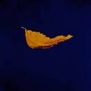 New Order - True Faith (2023 Remaster)