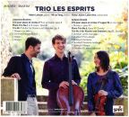 Brahms/Dvorak - Brahms, Dvorak (Trio Les Esprits)