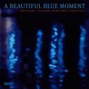 Dahl Carsten / Hagans Tim / u.a. - A BEAUTIFUL BLUE MOMENT