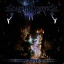 Sonata Arctica - Winterheart´s Guild