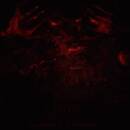 1349 - revelations of the back flame