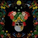 Hippie Death Cult - Helichrysum