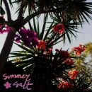 Summer Salt - Campanita (Neon Pink Vinyl Lp)
