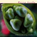 Apple Fiona - Extraordinary Machine