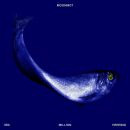 Moonmot - 350 Million Herring (Black Vinyl)