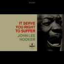 Hooker John Lee - It Serve You Right to Suffer