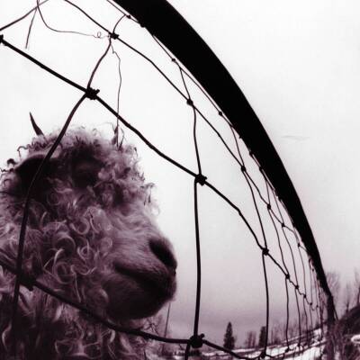 Pearl Jam - Vs. (30th Anniversary Edition 2LP black vinyl)