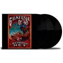 Grateful Dead - Without a Net
