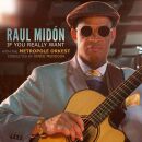 Midon Raul - If You Really Want