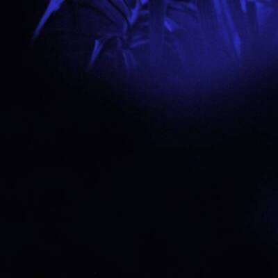 Asra - NOCTURNAL JOURNEY