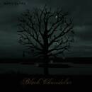 Biffy Clyro - Black Chandelier/Biblical