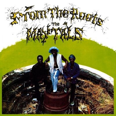 Maytals - From The Roots