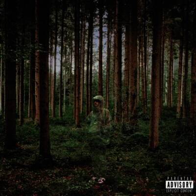 grandson - I Love You, I m Trying