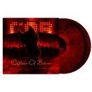 Children Of Bodom - A Chapter Called Children Of Bodom /...