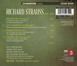 Strauss Richard - Burleske/romanze/duett-concert (Little Tasmin / McHale Michael)