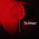 Subways, The - Young for Eternity