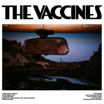 Vaccines, The - Pick-Up Full Of Pink Carnations (baby pink)