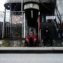 Hammer Armand - WE BUY DIABETIC TEST STRIPS