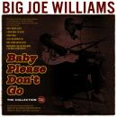 Big Joe Williams - Baby Please Dont Go (The Collection...