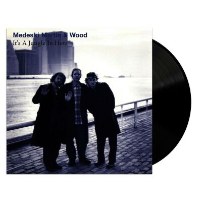 Medeski Martin & Wood - Its A Jungle In Here
