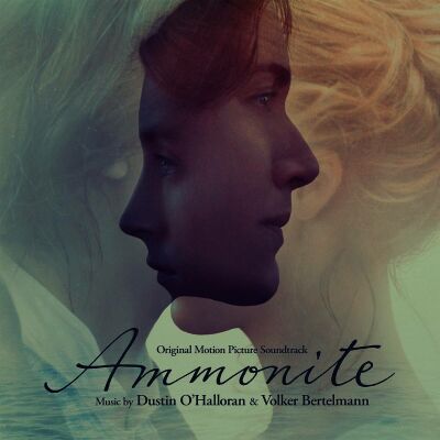 Ammonite (Various)