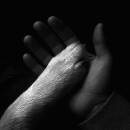 Jaws Of Love. - TASHA SITS CLOSE TO THE PIANO