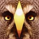 Sleepy Son - Sleepy Son