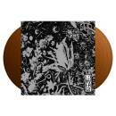 Converge - DUSK IN US