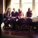 Big Star - NOTHING CAN HURT ME