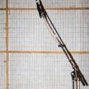 Contrast Trio - Letila Zozulya