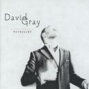 Gray David - Foundling