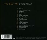 Gray David - Best Of David Gray, The