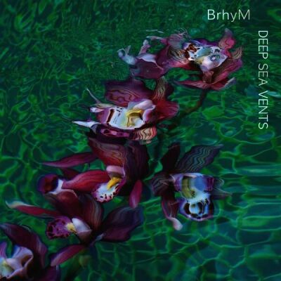 Brhym - Deep Sea Vents