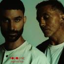 Rouquine - Mammifere