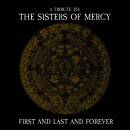 First And Last And Forever - (Diverse Interpreten)