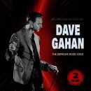 Gahan Dave & Soulsavers - Depeche Mode Voice, The