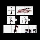 Manic Street Preachers - Lifeblood 20 (black vinyl)