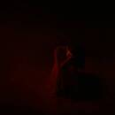 Ghostly Kisses - Darkroom