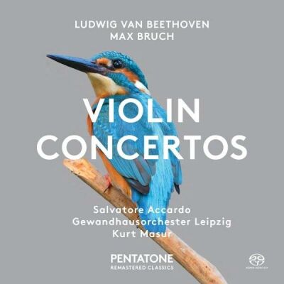 Beethoven Ludwig van / Bruch Max - Violin Concerto: Adagio Appassionate (Salvatore Accardo (Violine) - Gewandhausorchester / Romanze)