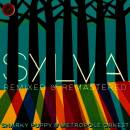 Snarky Puppy - Sylva (Remixed & Remastered)