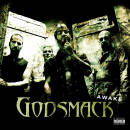 Godsmack - Awake / LP 140g)