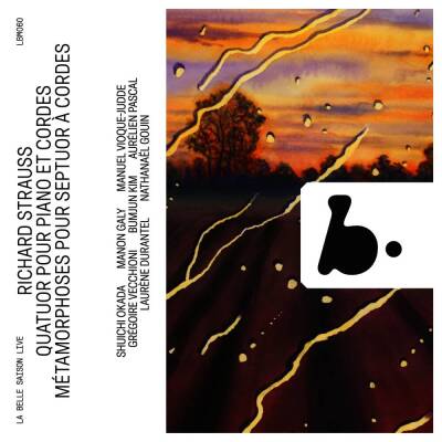 Strauss Richard - Quatuor pour Piano et Cordes - Metamorphoses pour (Trio Arnold / Galy Manon / u.a.)