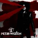 Wilson Peter - Freedoms Door